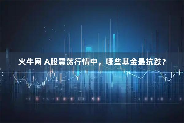 火牛网 A股震荡行情中,哪些基金最抗跌?